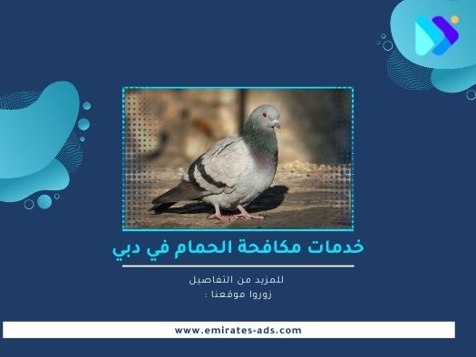 مكافحة الطيور في دبي